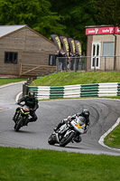 cadwell-no-limits-trackday;cadwell-park;cadwell-park-photographs;cadwell-trackday-photographs;enduro-digital-images;event-digital-images;eventdigitalimages;no-limits-trackdays;peter-wileman-photography;racing-digital-images;trackday-digital-images;trackday-photos